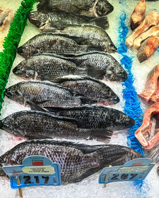Close-up of fresh tilapia fish on ice at a market, showcasing seafood freshness. — Huizhou, Guangdong, China