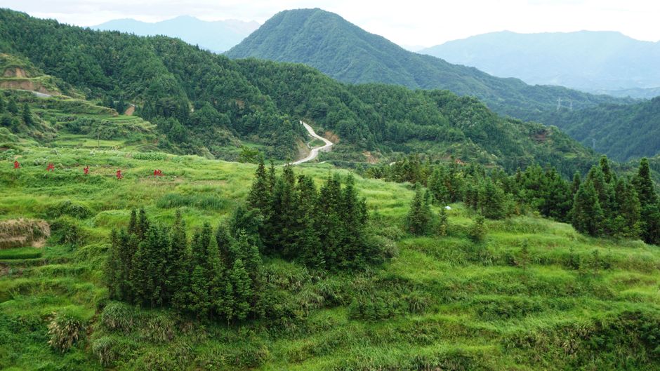 Discover a serene cobblestone path amidst lush green forest leading to majestic mountains under a vi — Huizhou, Guangdong, China